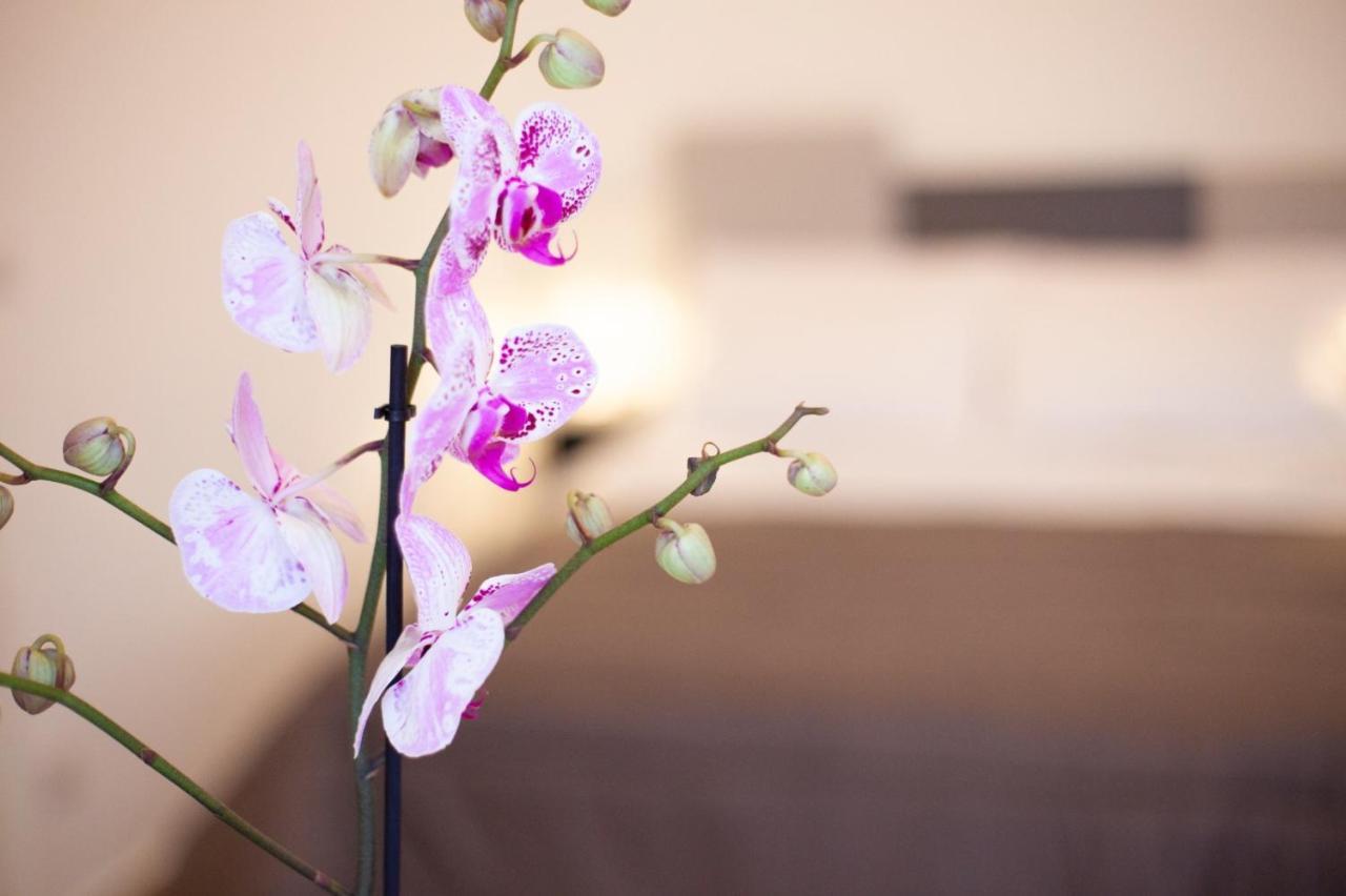 Casapaola B&B Rooms Acireale Exterior foto